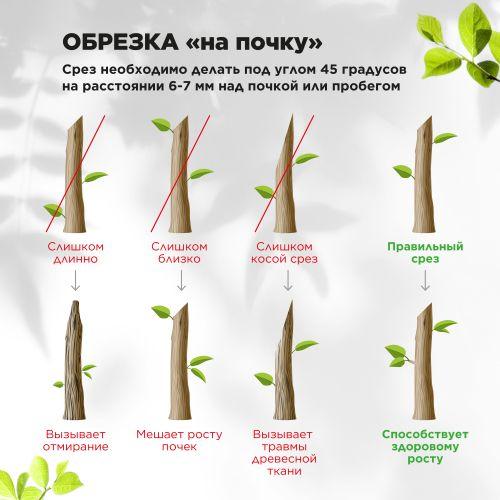 Секатор контактный с храповым механизмом Green Apple Б0044343