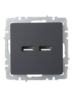 Розетка BRITE USB A+A 3.1А РЮ10-1-БрГ механизм графит IEK BR-U21-D31-K53