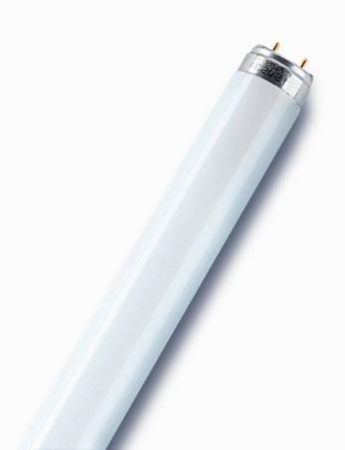 Лампа люминесцентная BASIC T8 18Вт T8 G13 линейная Ra >/=70 OSRAM 4008321959669