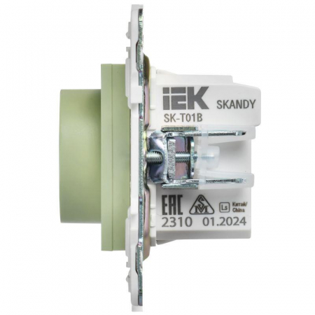 Термостат электронный SKANDY SK-T01G с индикацией мятный IEK SK-RT11-K06